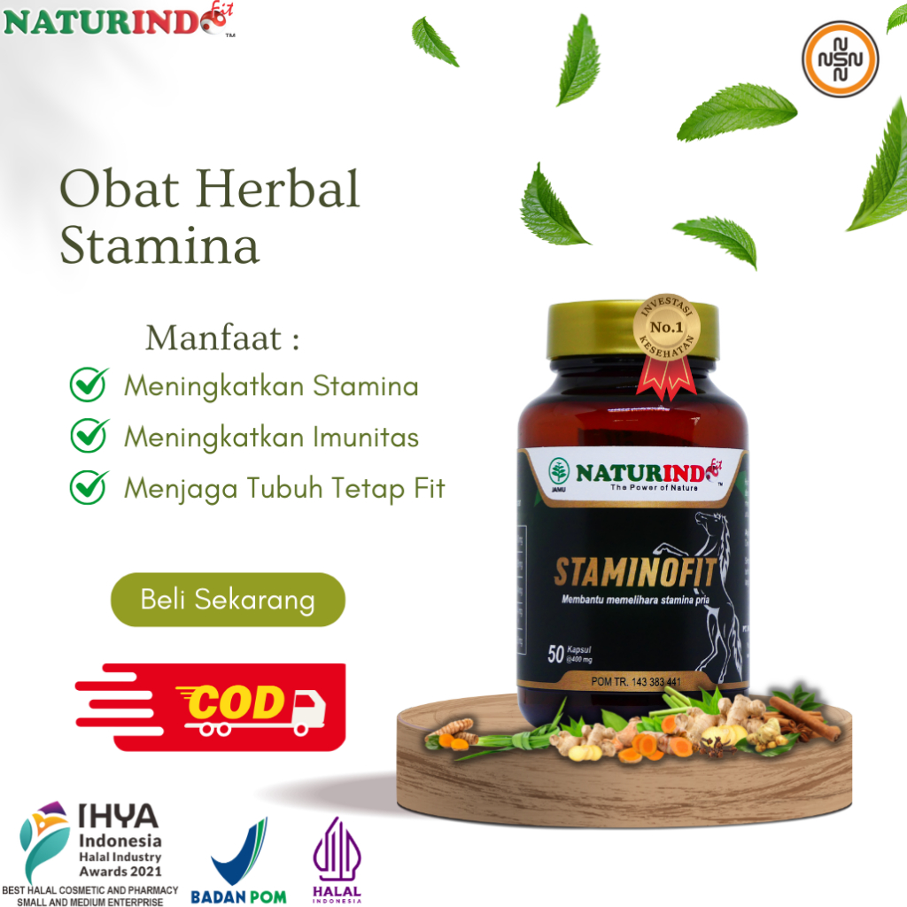 Obat Kuat Pria Tahan Lama Penambah Stamina Lemah Syahwat Jamu Herbal Alami Ampuh Meningkatkan Imunit