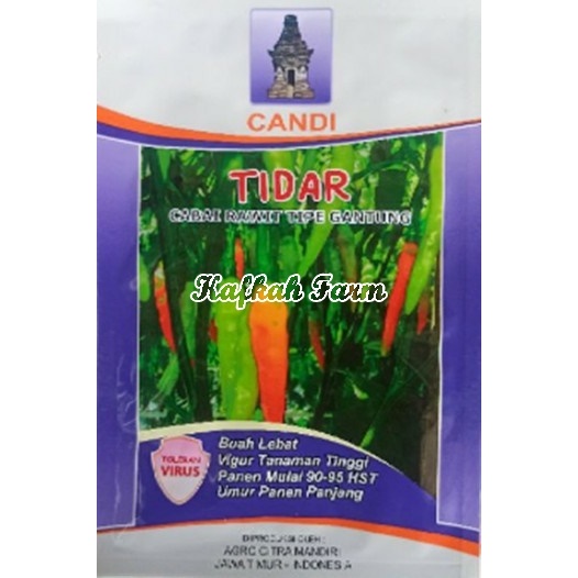 Benih 15 Biji Cabe Rawit TIDAR