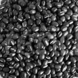 

Kacang BLACK URAD DAL WHOLE 1KG / Urad Dal Hitam / Gram Hitam / Urad Dal Utuh / Lentil