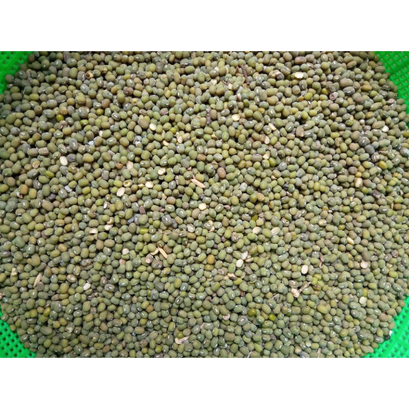 

kacang hijau buram 500gr