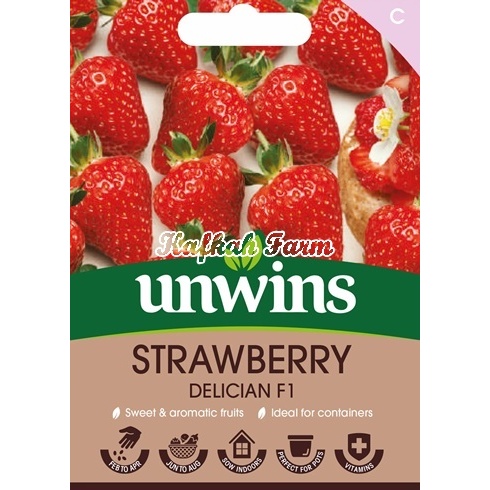 Benih 10 Biji STRAWBERRY Delician F1
