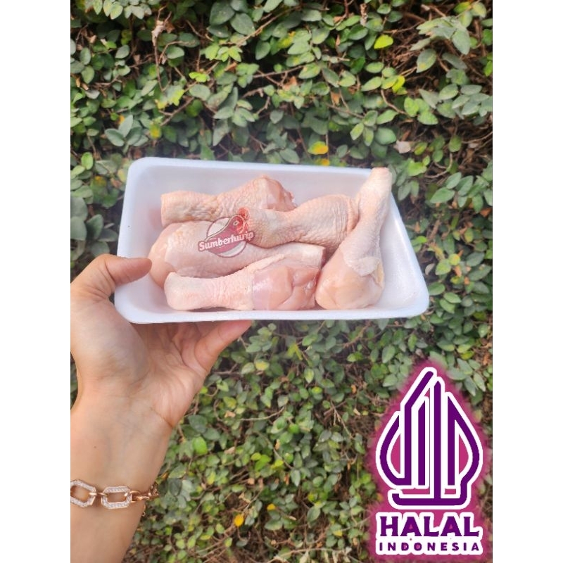 

paha pentul ayam 500gr termurah