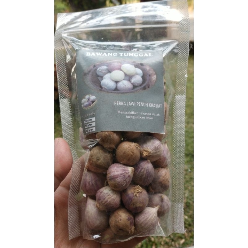 

bawang lanang mentah