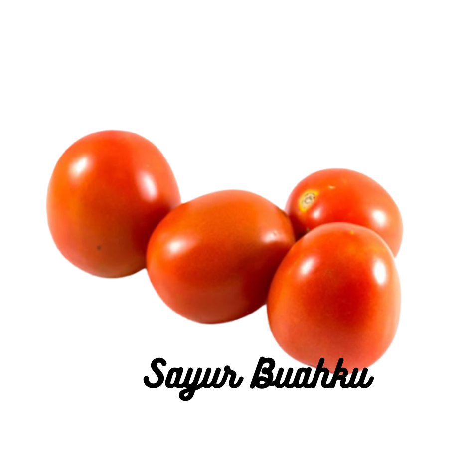 

Tomat Sayur