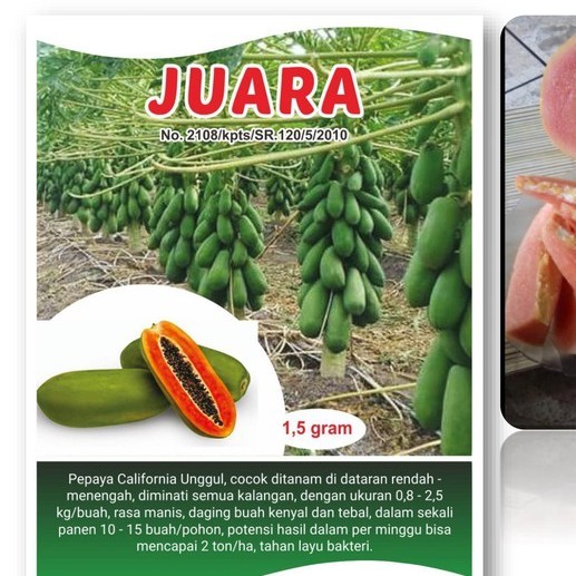 

Promo Benih Pepaya California Mahkota Seed Juara - 1,5 gram