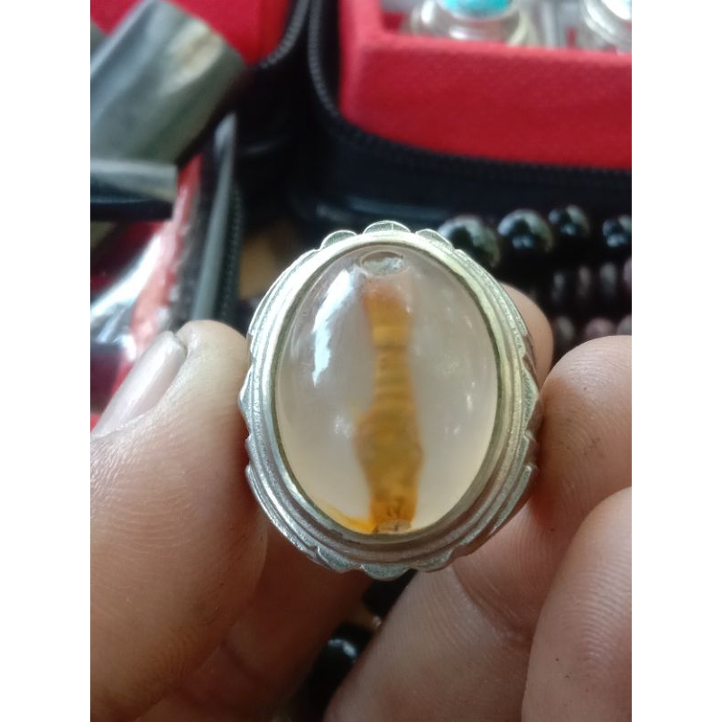 Natural batu akik sodo Lanang combong jaminan batu asli