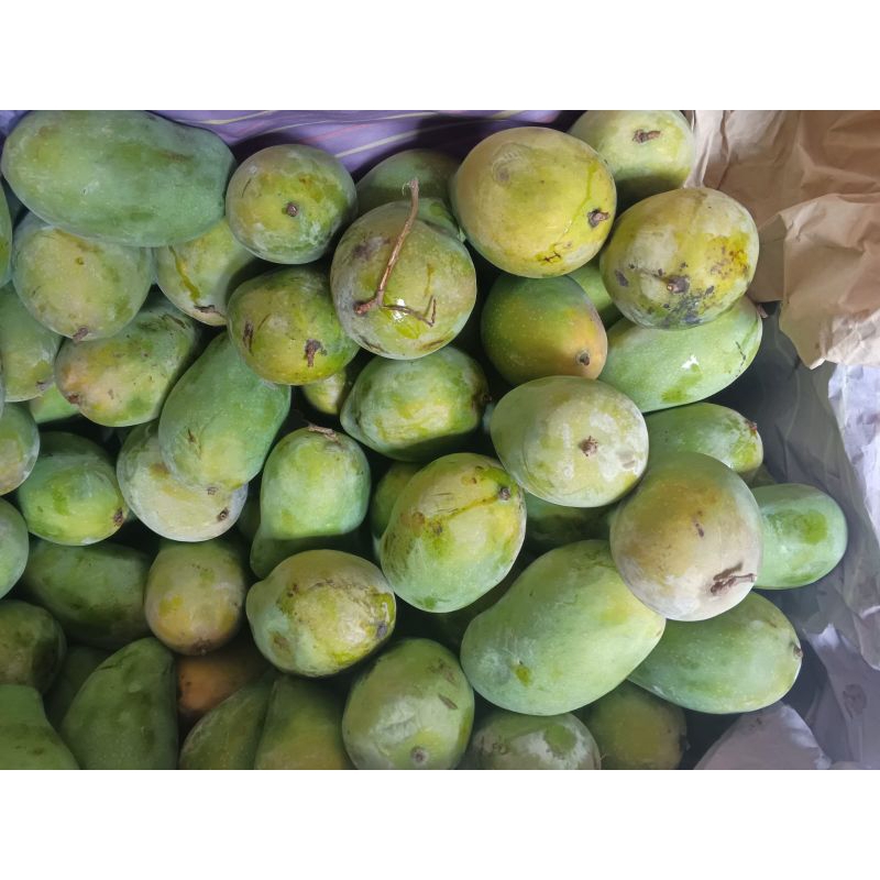 

buah mangga harum manis