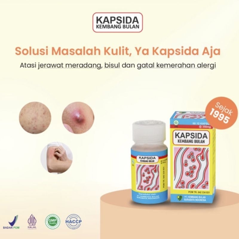 

KAPSIDA Kembang Bulan