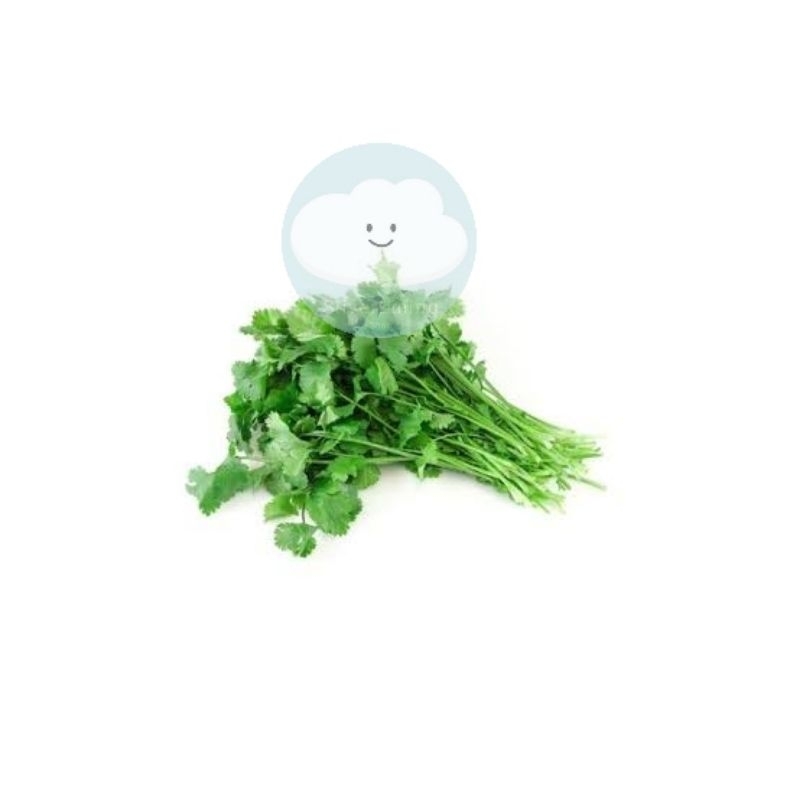 

DAUN KETUMBAR / CILANTRO / CORRIANDER 100GRAM