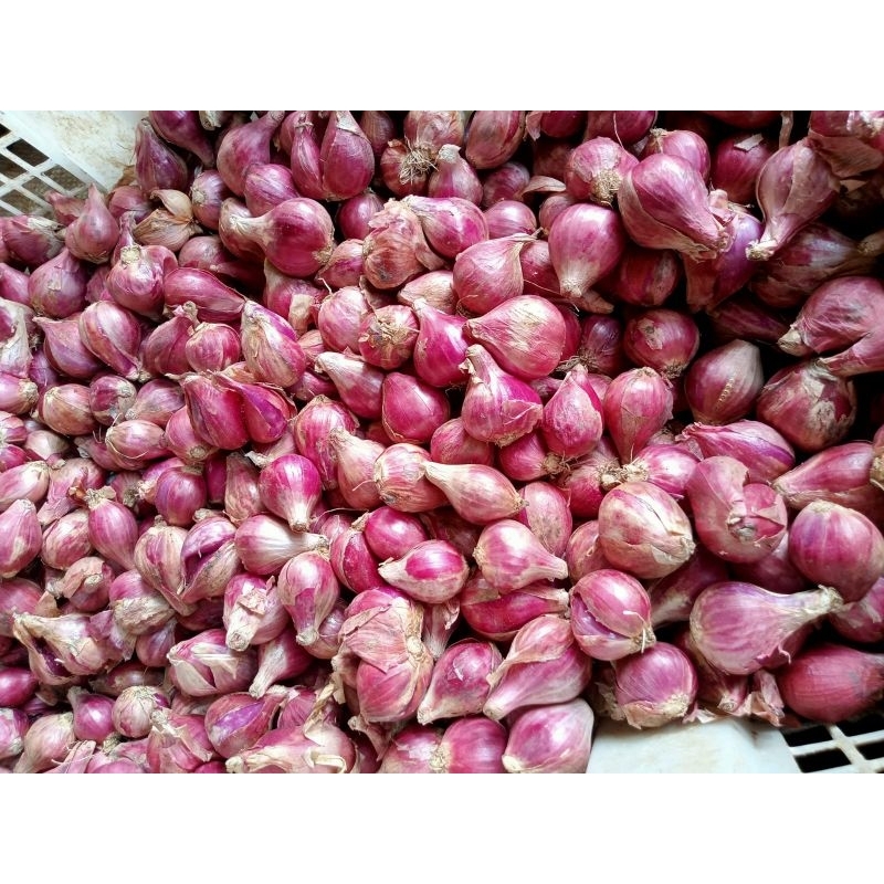 

Bawang merah