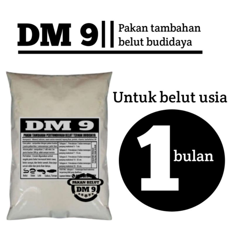 pembesaran pelihara bibit belut DM 9 ukuran 1 kg hewan ternak