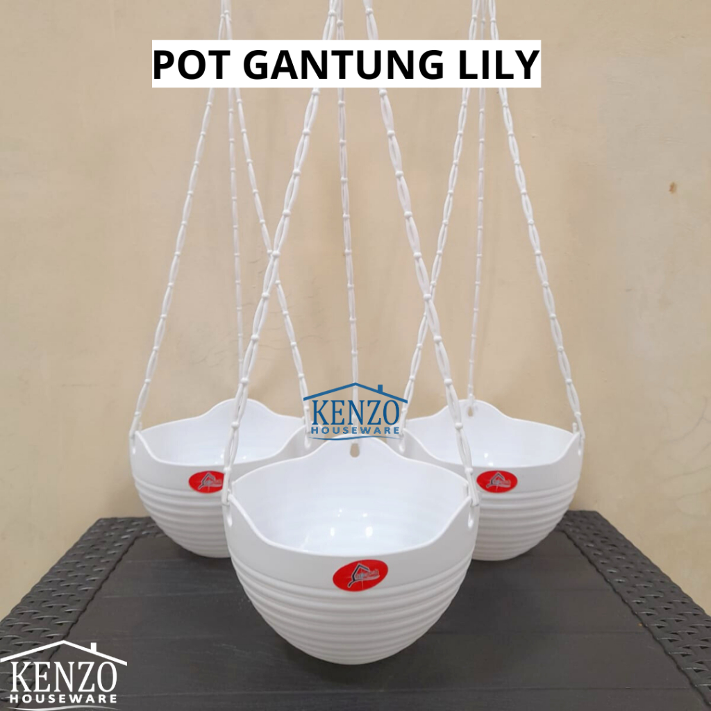 Pot Gantung 20 Cm Pot Gantung Tawon Lliy Paris ALEXISH Pot Bunga Tanaman Hias Gantung