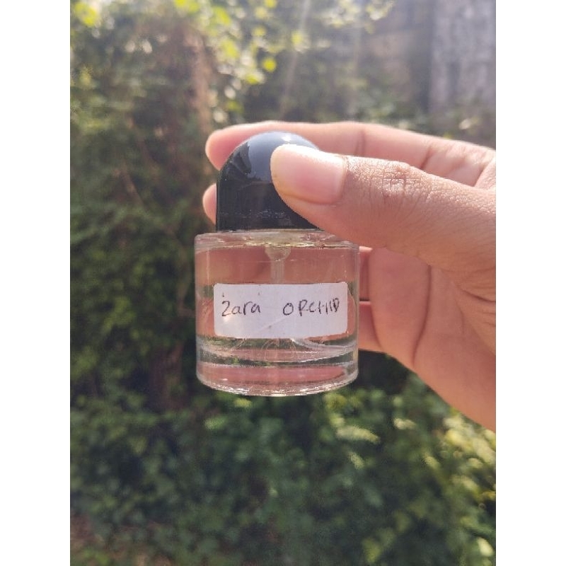 zara orchid