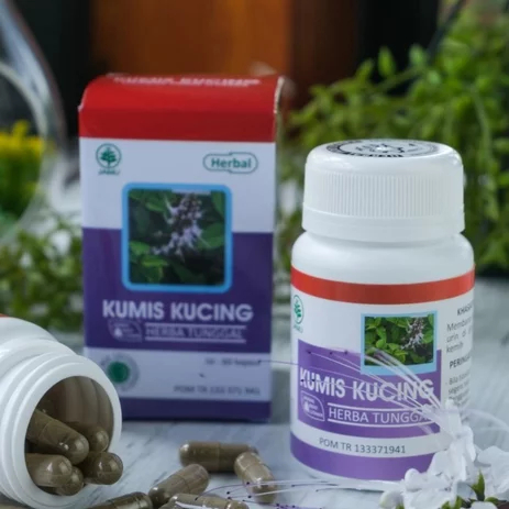 Kapsul HIU Kumis Kucing - Membantu mengobati asam urat dan rematik, Mengatasi tekanan darah