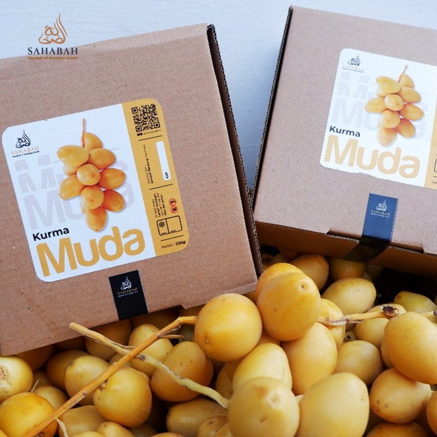 

Kurma Muda 1 kg Promil Suami Istri Kuning Fresh Mengkel Asli