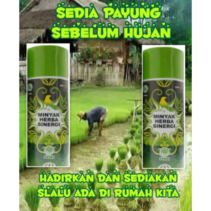 minyak herbal sinergi 100% original/ minyak untuk kulit (gatal- gatal,luka bakar,biang keringat,aler