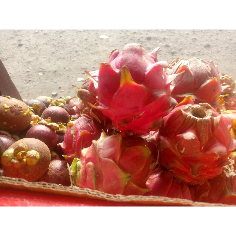 

Buah Segar khas Berastagi