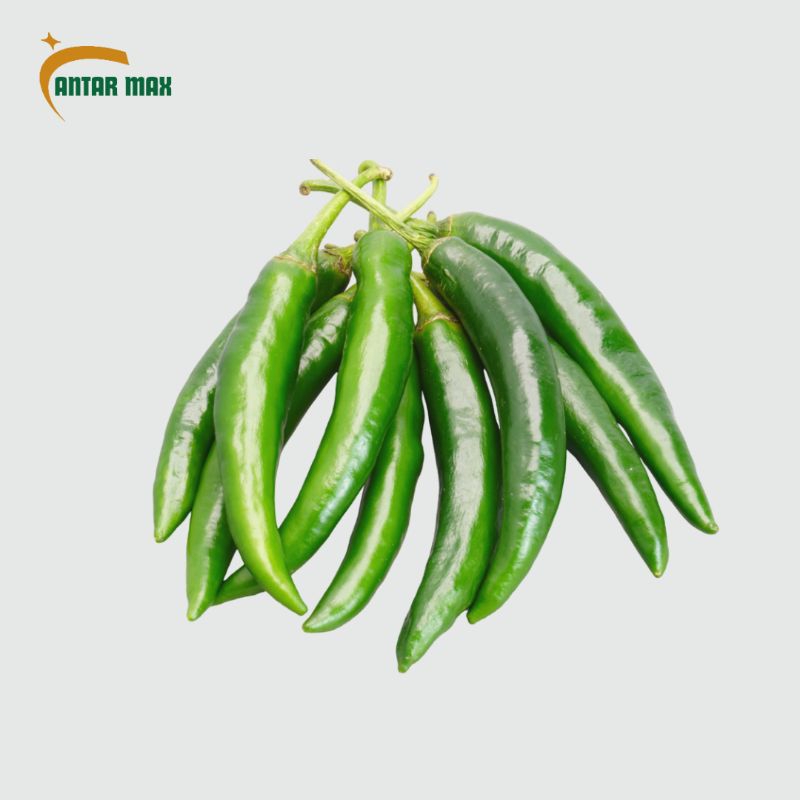 

Cabe hijau besar 250g