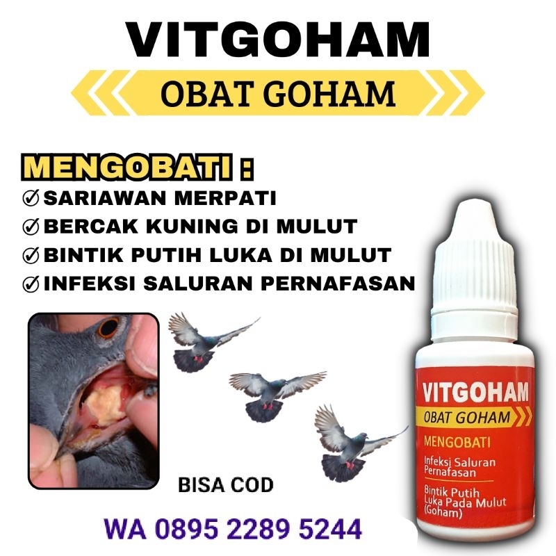 OBAT GOHAM GOMEN MERPATI