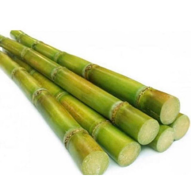 

Tebu hijau segar tebu madu manis alami 1 kg-az