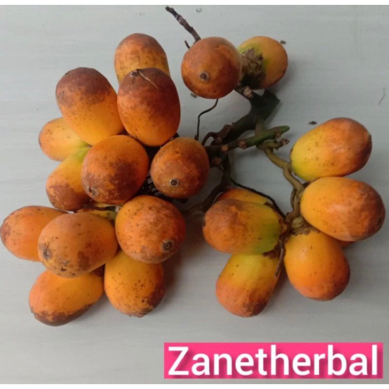 

Buah pinang tua segar 500 gram organik-az