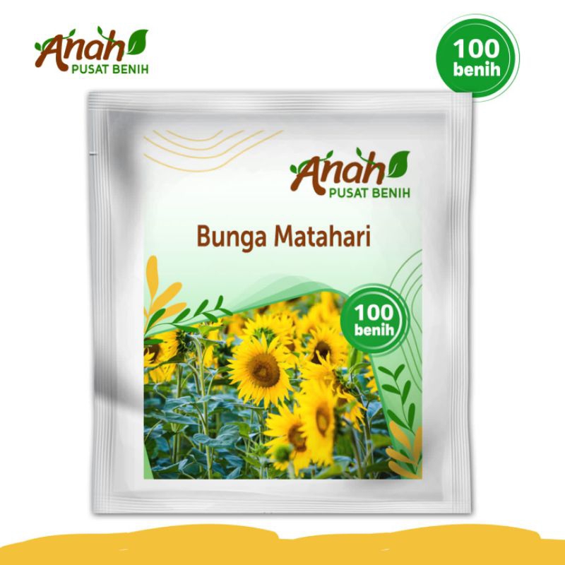 Benih bunga matahari 100 benih / benih bunga