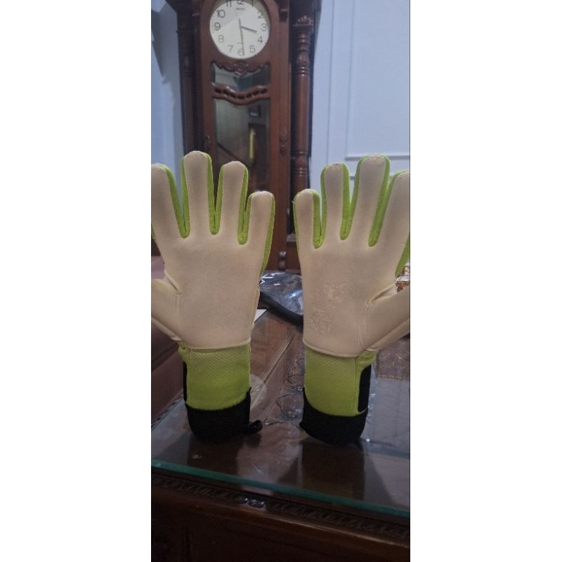 Goalkeeper Glove - GK PRO EVO 2.0