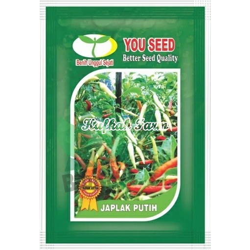 Benih 25 Biji Cabe Rawit JAPLAK PUTIH