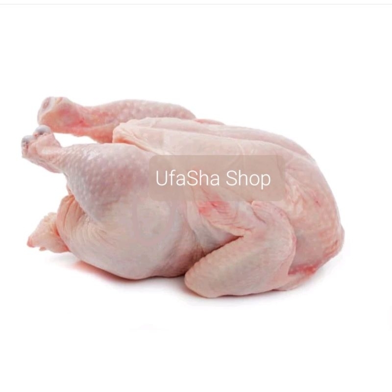 

Ayam Karkas Broiler Frozen ukuran 0.9-1kg