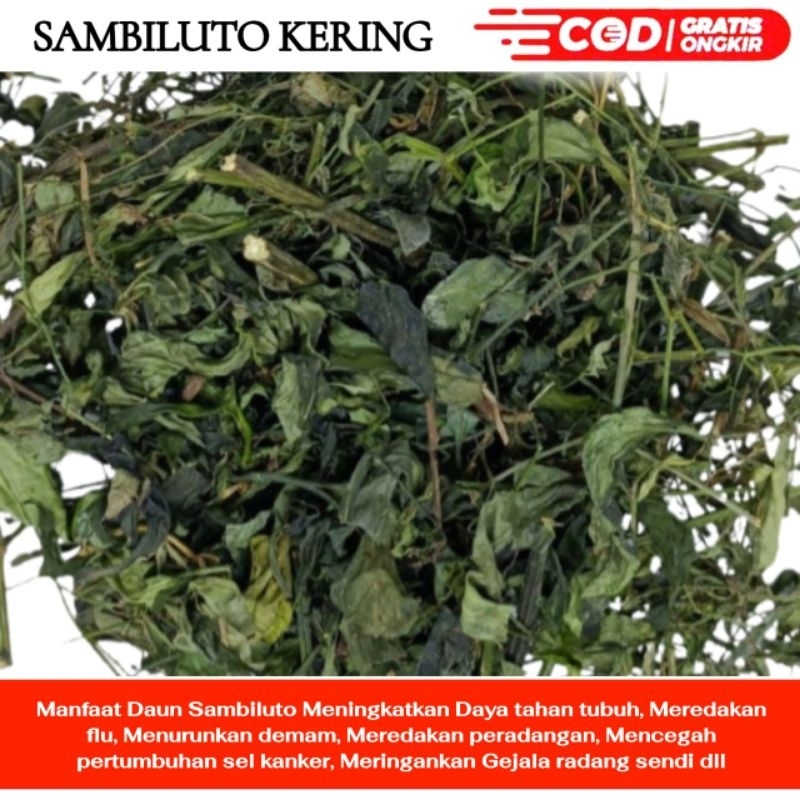 

SAMBILUTO KERING 1KG