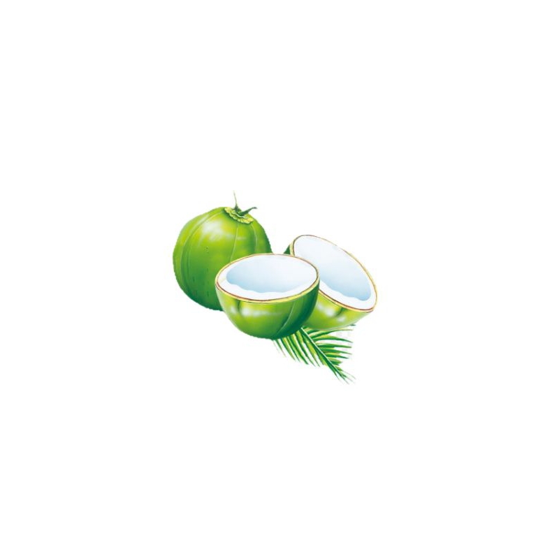 

kelapa duwegan