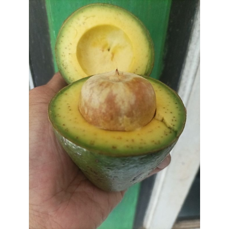 Alpukat MentegaSuper 1kg