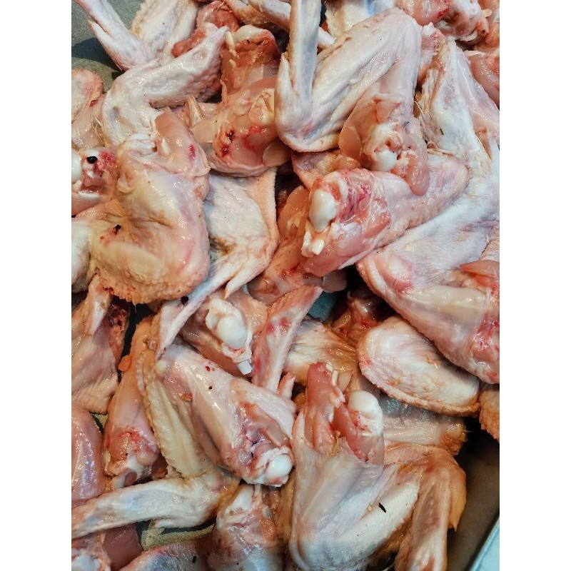 

sayap ayam