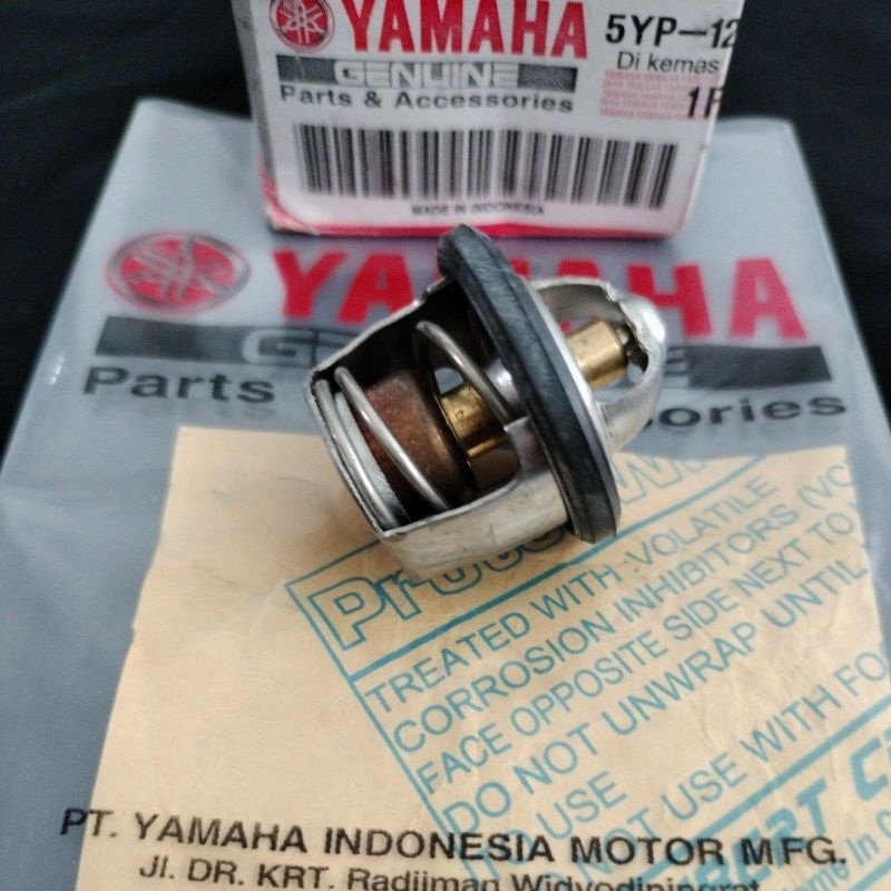 Termostat Vixion old