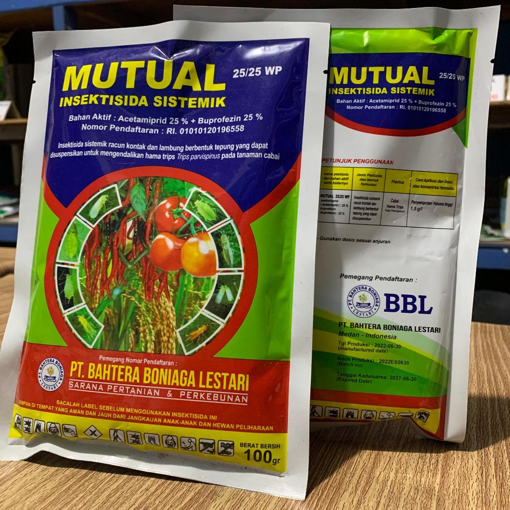 Mutual Insektisida Sistemik Pada Tamanam Cabai
