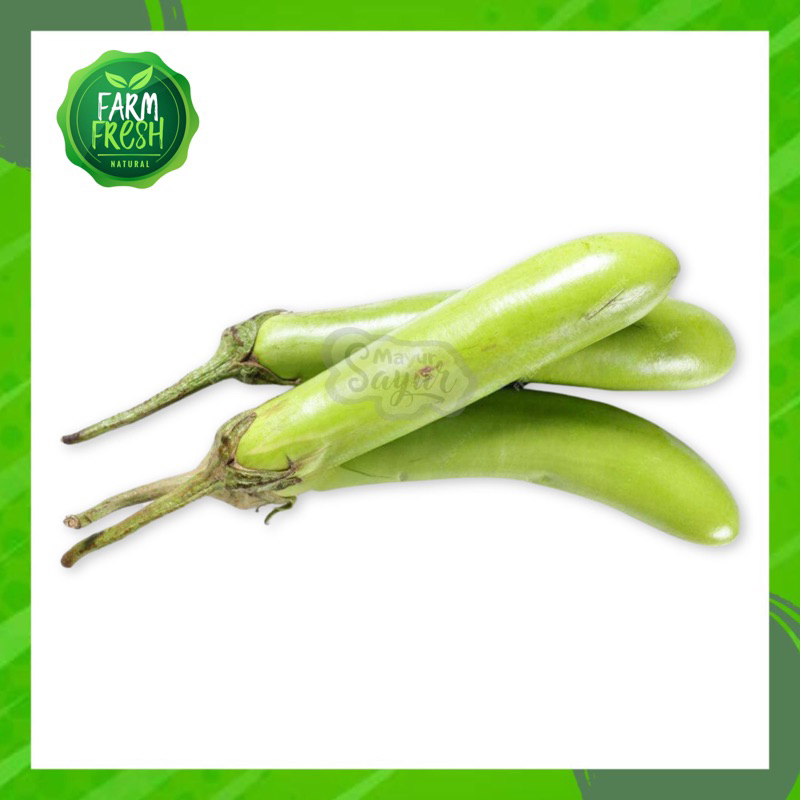 

KIRIM INSTAN Terong Hijau / Per Pack