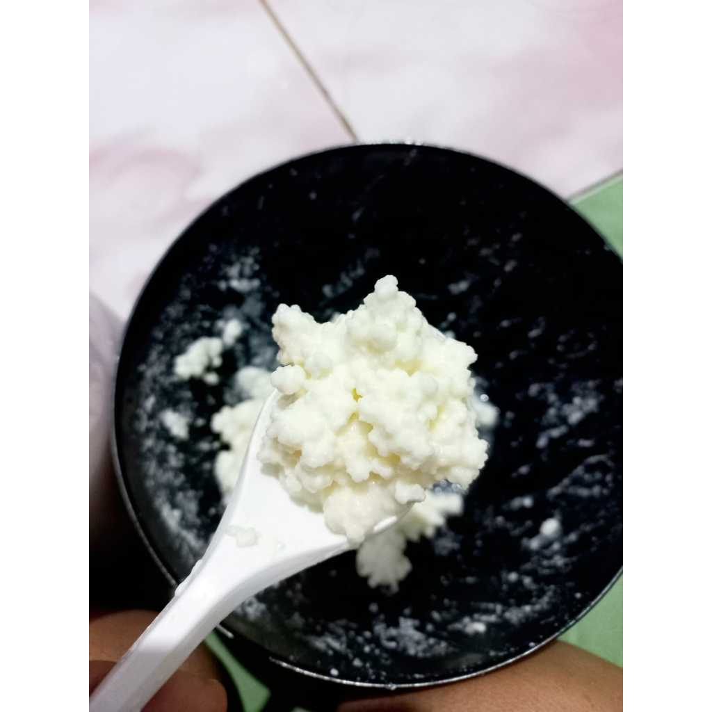 

Grain Kefir 30gr