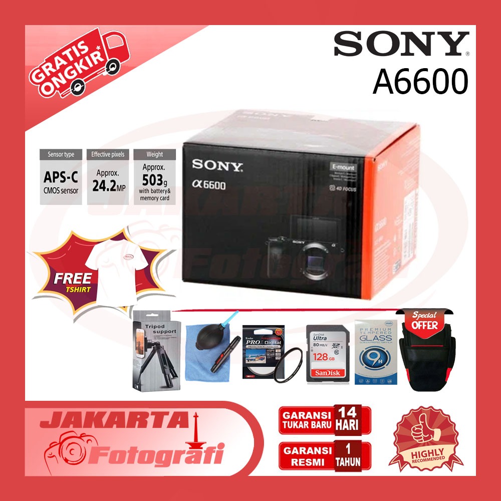 Sony A6600 Body Only  / Sony Alpha 6600 A6600 Mirrorless Camera