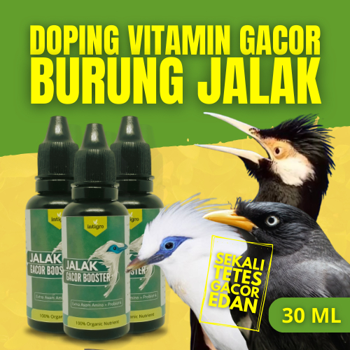 Vitamin Burung Jalak Suren Gacor / Vitamin Burung Jalak Kebo Gacor / Vitamin Burung Jalak Gacor / Vitamin Jalak Suren Gacor / Vitamin Jalak Kebo / Doping Jalak Suren / Doping Jalak Kebo / Penggacor Jalak Suren / Vitamin Jalak Bali Kebo Suren Putih