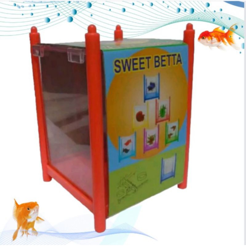 Aquarium/Tank cupang Channa Kura kura SWEET BETTA 1PC