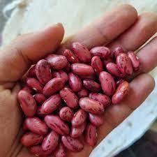 

KACANG MERAH JOGO _ 250gr