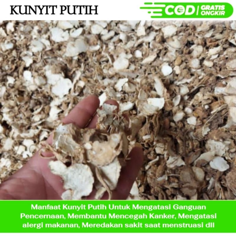 

Kunyit Putih Kering 1kg - Kunir Putih Asli Original - Temu Putih Kualitas Bagus