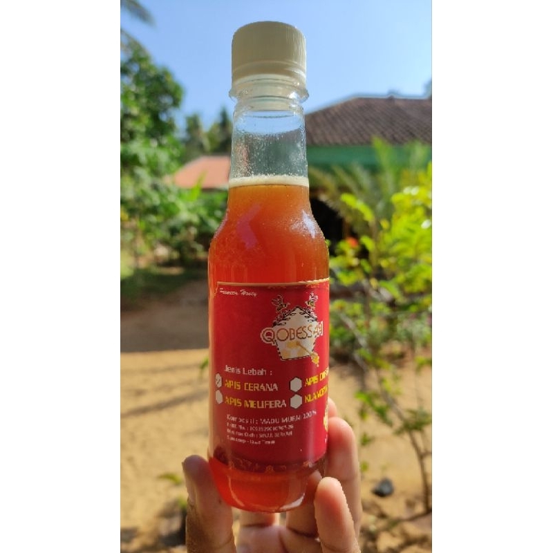 

MADU MURNI ASLI LEBAH APIS CERANA | LEBAH LOKAL YG BERSARANG DI GENTENG RUMAH WARGA | MADU LANGKA