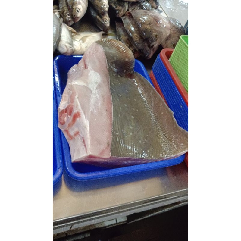 

Ikan pari potongan 1kg
