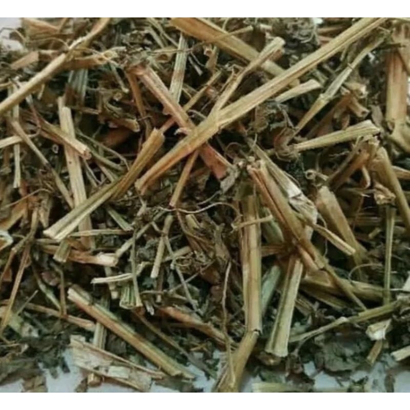 

daun ciplukan herbal 15 gram