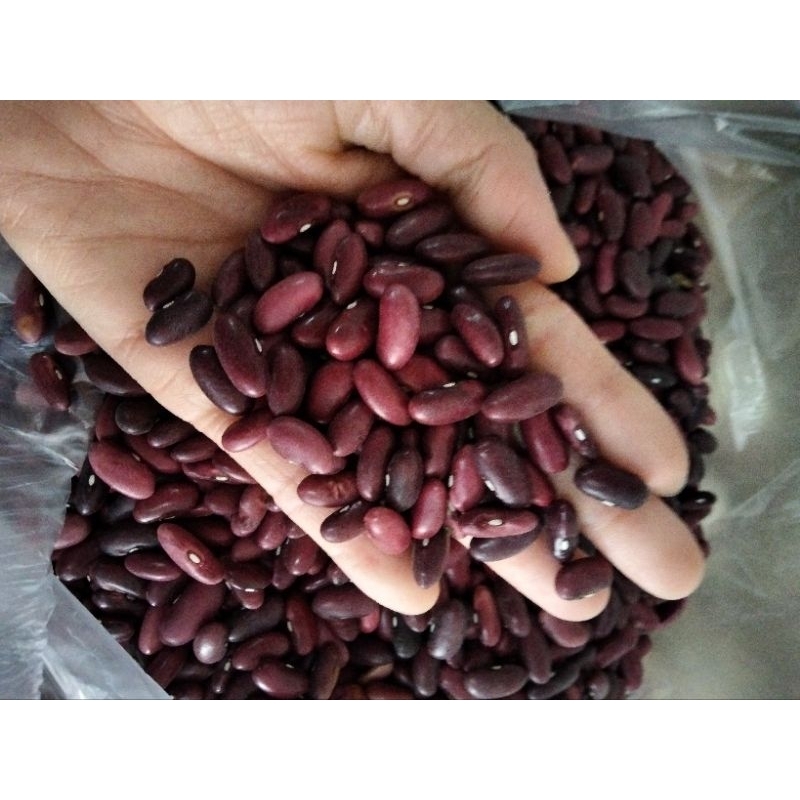 

Kacang Merah/ Campe/ Brenebon 500g