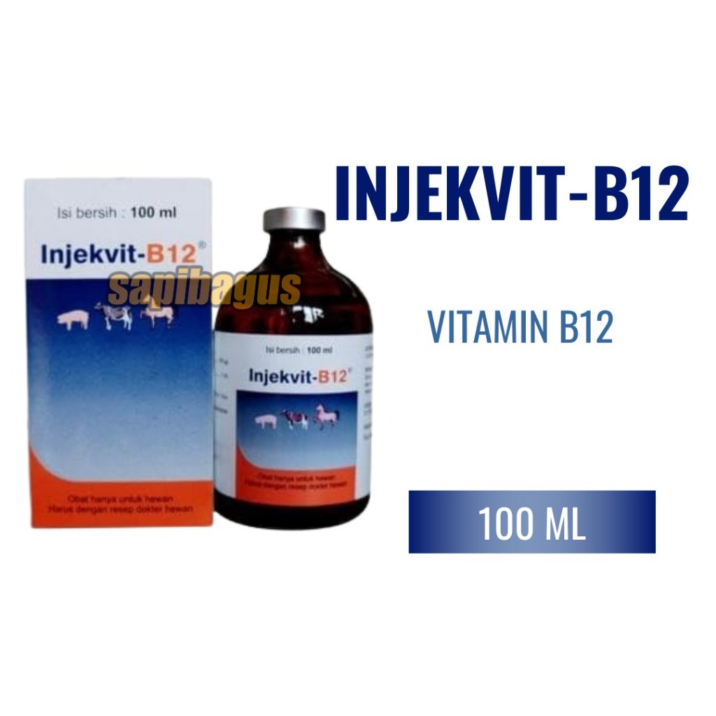 Injekvit B12 - Vitamin B12 Ternak Sapi - Sapibagus