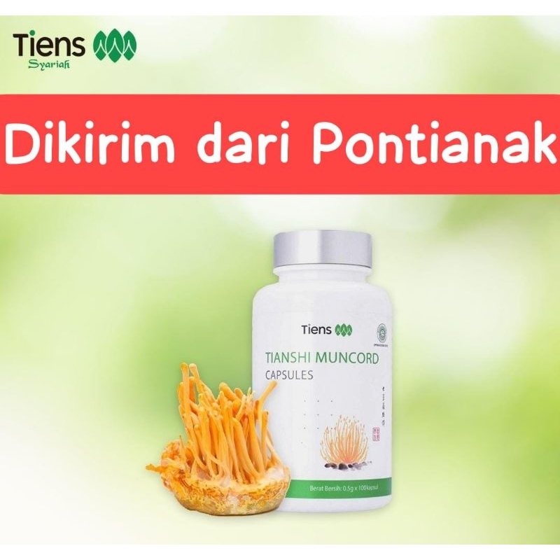 Muncord Cordyceps Tianshi Pontianak | Tiens Cordyceps | Tianshi Cordyceps | Muncord Capsules Tiens |