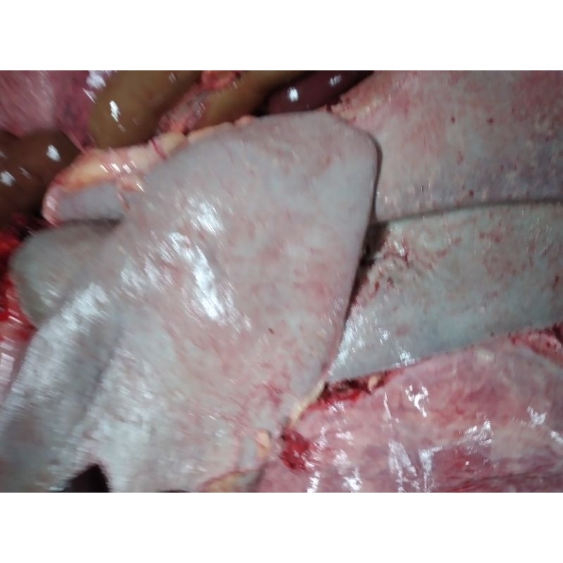 

LIMPA SAPI FRESH