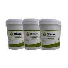 

butter of subtitue kemasan repack 1kg